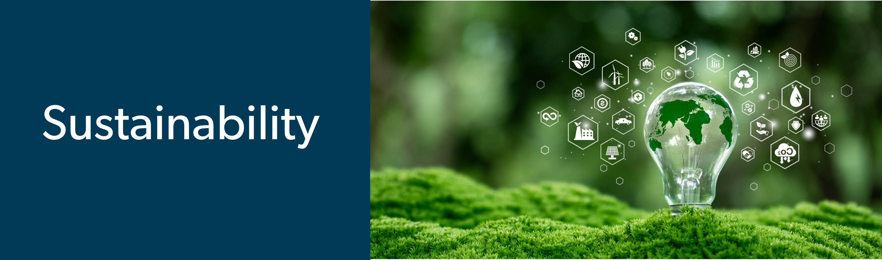 Sustainability Banner